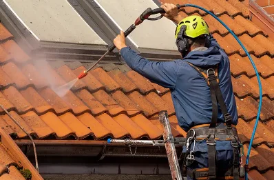Démoussage et hydrofuge de toiture à Eclose-Badinières